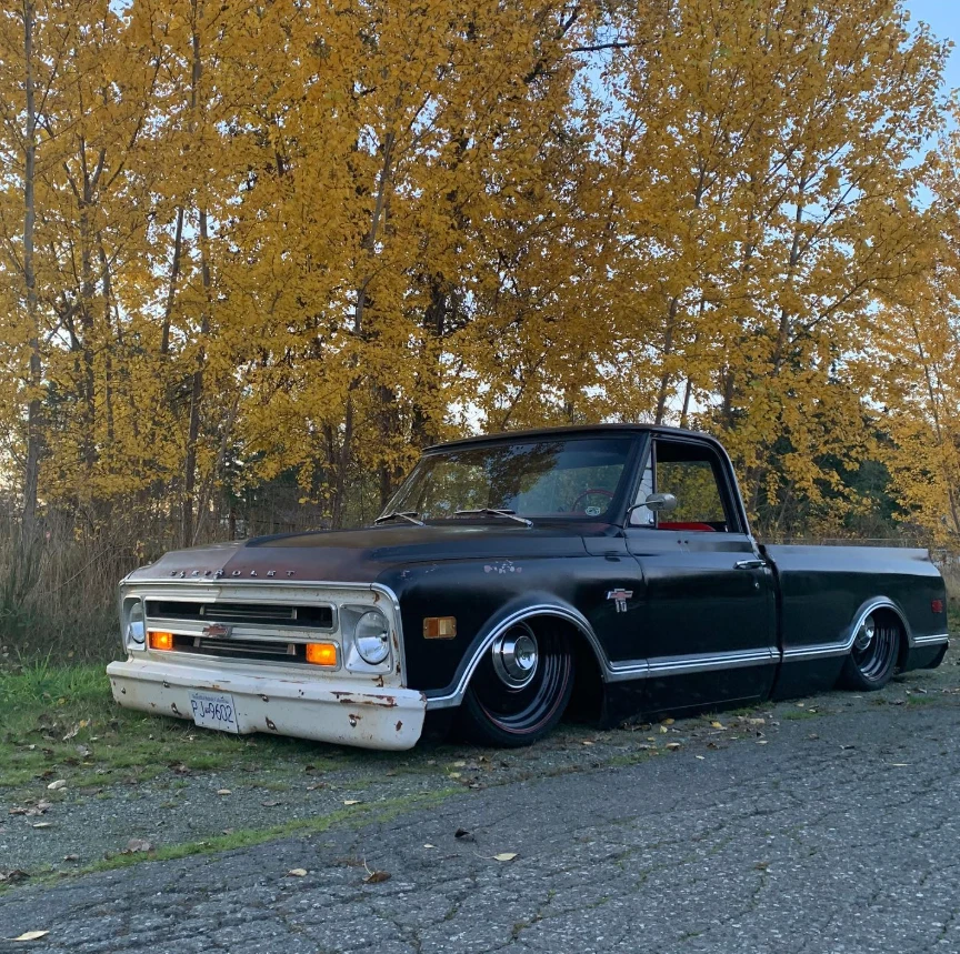 C10 in autumn